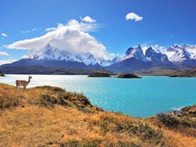 A Full Guide To Roadtripping 'Route of the Parks' in Patagonia, Chile - matadornetwork.com - county Park - county Island - state Oregon - Chile - Argentina - city Santiago - county Williams - county Glacier