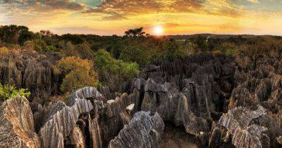 How To Visit Tsingy de Bemaraha National Park in Madagascar - matadornetwork.com - county Park - Madagascar