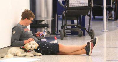 New Rules for Service Animals on Planes Are (Finally) Taking Shape - smartertravel.com - Usa