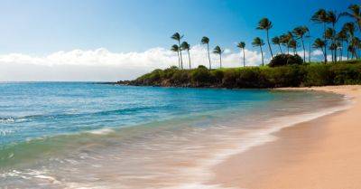 The Best Beaches in America to Travel to This Summer - smartertravel.com - Usa - county Park - state California - state Florida - county Island - county San Diego - county Cooper - state Hawaii - state Massachusets - state North Carolina - state New York - county Maui - state South Carolina - county Southampton