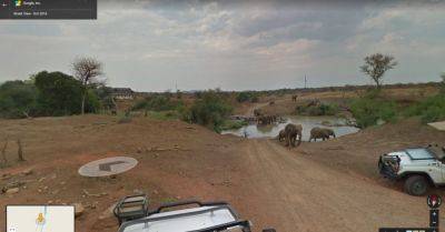 How to (Virtually) Safari Through South Africa on Google Maps - smartertravel.com - South Africa - county Park - Mexico - city Cape Town - Malaysia - county Nelson