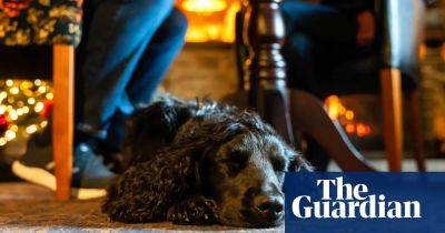 20 of the best dog-friendly places to stay in the UK - theguardian.com - Ireland - Britain - city Manchester - county Lake - Scotland