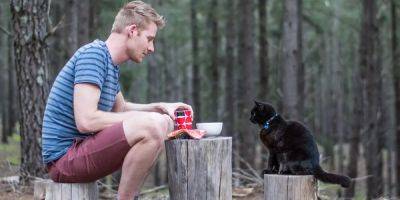My cat helped me rebuild my life as we traveled and lived in a camper van. Without her, I would have never met my wife. - insider.com - Australia