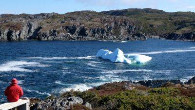 The art of iceberg chasing in Newfoundland - nationalgeographic.com - Canada - Greenland