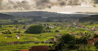 Is Albariño the Next Great White Wine? It Depends. - nytimes.com - Spain - Portugal - county Sierra