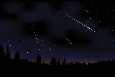 You Could See Up to 100 Meteors per Hour This Weekend During the Perseids Meteor Shower's Peak - travelandleisure.com - state Oregon - state Arizona - state North Carolina - state Indiana