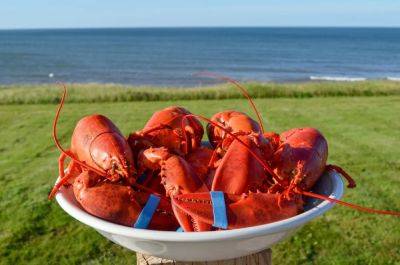 Scenery, Seafood: Canada’s Prince Edward Island Is A Perfect Getaway - forbes.com - Canada - county Atlantic - county Prince Edward