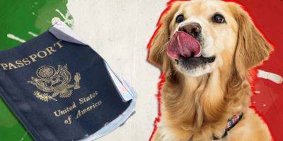 A groom-to-be says his dog ate his passport days before he was due to fly to Italy for his dream wedding - insider.com - Italy - county Hall