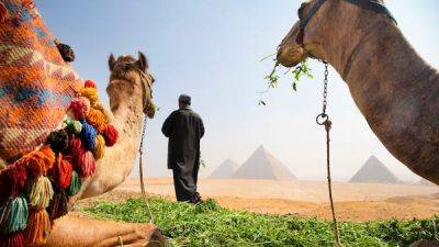 14 things to know to help you plan the perfect trip to Egypt - lonelyplanet.com - Egypt
