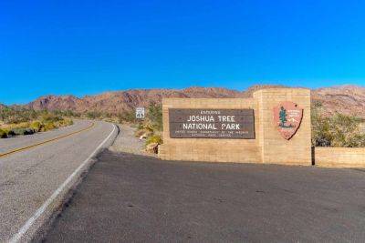 Joshua Tree Partially Reopens Following Tropical Storm Hilary — What to Know - travelandleisure.com - state California - county Forest