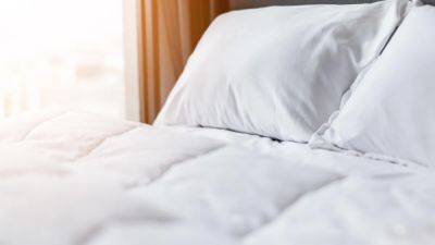 How To Check If Your Hotel Room Has Bed Bugs - forbes.com - state Texas - state North Carolina