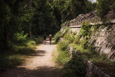 Mexico's Tourism Agency Defends Controversial Train Project in Southern Jungles - skift.com - Mexico