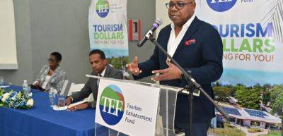 TEF's Summer Internship Programme empowers 1,100 youth nationwide with job opportunities - traveldailynews.com - Usa - Jamaica - city Kingston, Jamaica - city Sandal
