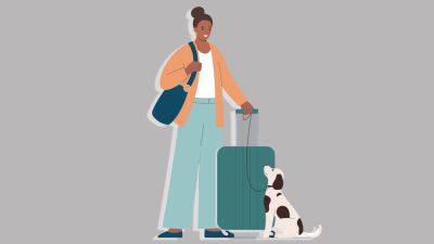 Flying With a Dog: Everything You Need to Know - cntraveler.com - France