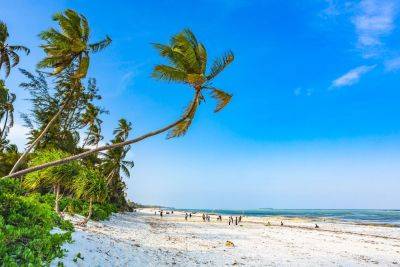 13 best beaches in Tanzania - roughguides.com - Tanzania