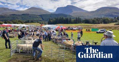 Tell us about great country fairs you’ve visited in the UK and elsewhere in Europe - theguardian.com - Britain