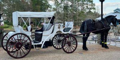 I rode a horse-drawn carriage at Disney World, and it was worth it for $50 - insider.com