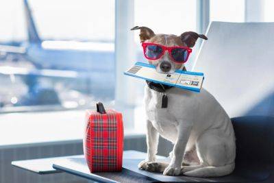 Travel Has Gone To The Dogs - forbes.com - Eu - Usa - Canada