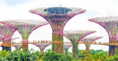 How You Can Experience Singapore's Gardens by the Bay, Home To the Tallest Indoor Waterfall in the World - matadornetwork.com - Singapore - city Singapore - city Downtown