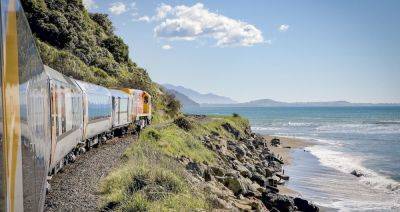 You Can See Penguins, Seals, and Whales From This New Zealand Train - matadornetwork.com - New Zealand