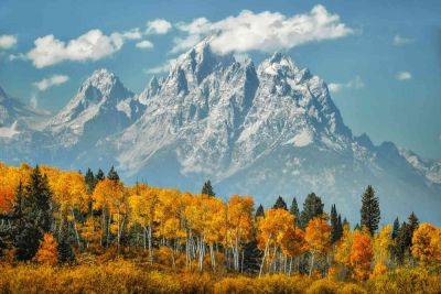 AccuWeather's Fall Foliage Map Predicts Some Surprising Locations for Leaf Peeping This Year - travelandleisure.com - state Colorado - state Missouri - state California - Washington - state Oklahoma - state Texas - state Oregon - state Arkansas - state Ohio - county Lake - state Idaho - state Utah