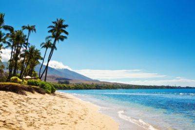 Yes, You Should Go To Maui Now-And How To Help - forbes.com - state Hawaii