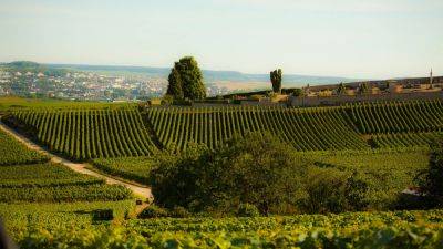 How to plan a wine-tasting tour in Champagne - nationalgeographic.com - France - city Paris