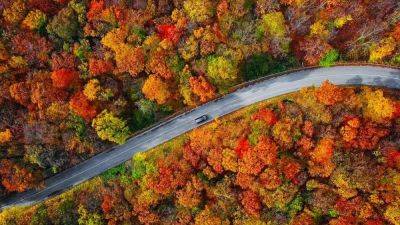 Press Your Luck With These 5 Fall Travel Contests - forbes.com - city Las Vegas - state California - San Francisco - city San Francisco - city Houston - state West Virginia