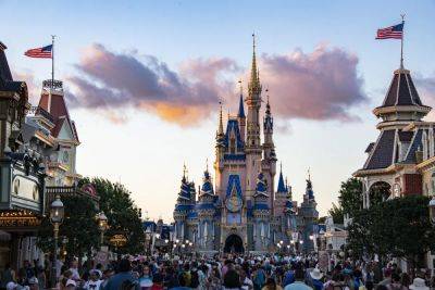 Disney World Shuts Down Rides Because Of Loose Bear - forbes.com - state California - state Florida