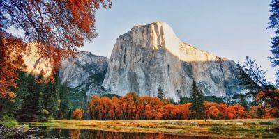 Photos show the best places in California to see fall foliage - insider.com - state Vermont - state California - state North Carolina - county Valley - county San Bernardino