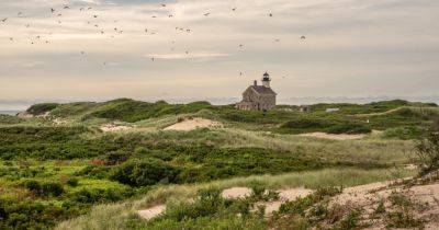 Where the Crowds Are Gulls and Crabs - nytimes.com - state Rhode Island - county Atlantic