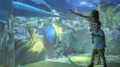 IDEAS: Hologram Room Allows You to 'Swim' with Mantas - skift.com