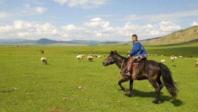 How to travel to Mongolia with kids - lonelyplanet.com - county Park - Mongolia - city Ulaanbaatar