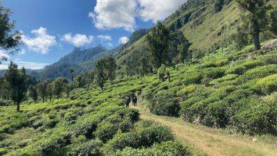 The new Sri Lankan hiking trail that leads to the heart of the hill country - nationalgeographic.com - Eu - Britain - Usa - Scotland - Sri Lanka