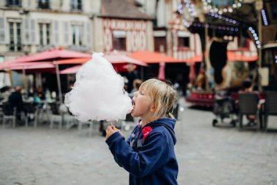 8 things to do with kids in Burgundy, France - lonelyplanet.com - France - Switzerland
