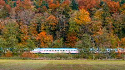4 Scenic Amtrak Routes for Stunning Views of Fall Foliage - cntraveler.com - Usa - city Boston - state Vermont - Washington - state Connecticut - state Maine - city Portland - state Massachusets - state New Hampshire