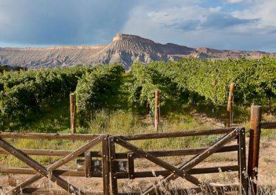 Colorado’s Wine Scene Is Beginning To Bubble In Palisade - forbes.com - city Denver - state Colorado - Washington