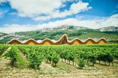 Unforgettable Rioja Vineyard Stays: Explore Spain’s Top Wineries - forbes.com - Spain - France - state California - county Sierra
