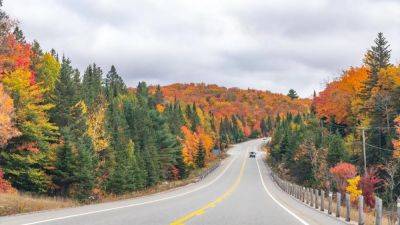 3 Scenic Road Trips In Ontario For The Best Fall Colors - forbes.com - Usa - Canada - county Ontario - city Warsaw - city Ottawa
