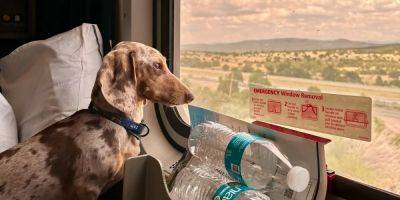 I took a 3-day Amtrak trip with my service dog for $2,000 to avoid yet another nightmarish airport experience - insider.com - Los Angeles - state California - city Wilmington - city Chicago - state Delaware - Amtrak