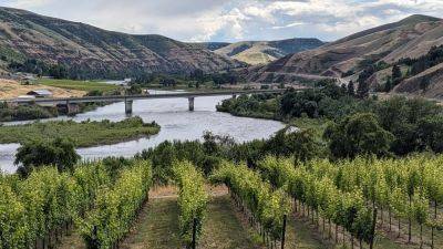 Your Next Great Wine Trip? Make It Idaho. - forbes.com - Usa - Washington - state Idaho - county Napa - county Pacific - county Sonoma - county Clark - county Walla Walla