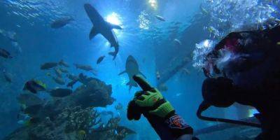 I love going indoor snorkeling in my landlocked state. It's only $125 and wildlife sightings are guaranteed. - insider.com - Usa - city Denver - state Colorado - Denver - city Downtown