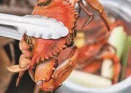 Northern California’s Best Seafood Event Starts Tomorrow In Mendocino - forbes.com - Italy - Usa - state California - San Francisco - county Little River