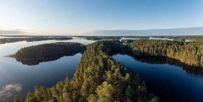 Discover 9 Exciting Finland Experiences for 2024 - forbes.com - Finland - city Helsinki - county Green - city Green - region European