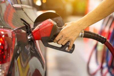 Gas Prices Rise Following Impact of Hurricanes Milton, Helene - travelpulse.com - Usa - state Florida