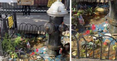 A Leaking Fire Hydrant in Brooklyn Is Now a Popular Attraction After Being Converted to a Fish Pond - matadornetwork.com - Usa - city New York