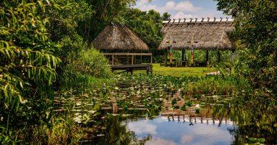 Stepping Into a Hidden World in the Everglades - nytimes.com - state Florida