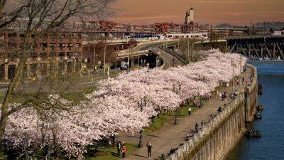 When you should visit Portland, Oregon - lonelyplanet.com - Japan - county Garden - county Park - city Washington - state Oregon - city Portland, state Oregon