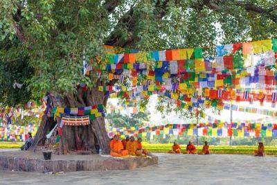 A first-time guide to Lumbini - lonelyplanet.com - Nepal - city Kathmandu