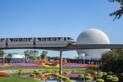 Transport options at Disney World: getting around is half the fun - lonelyplanet.com - city Orlando